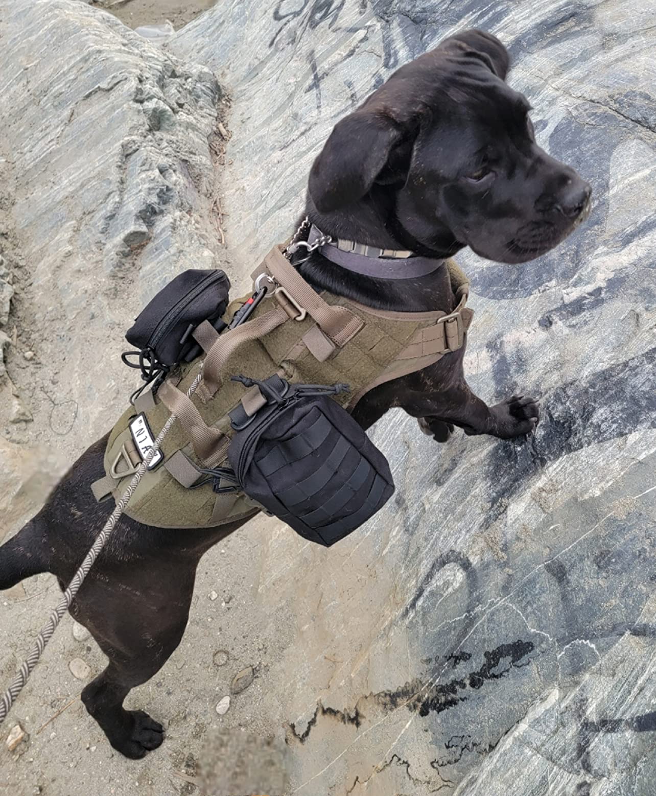 10/mo Finance PETAC GEAR Tactical Dog Harness K9 Military Dog