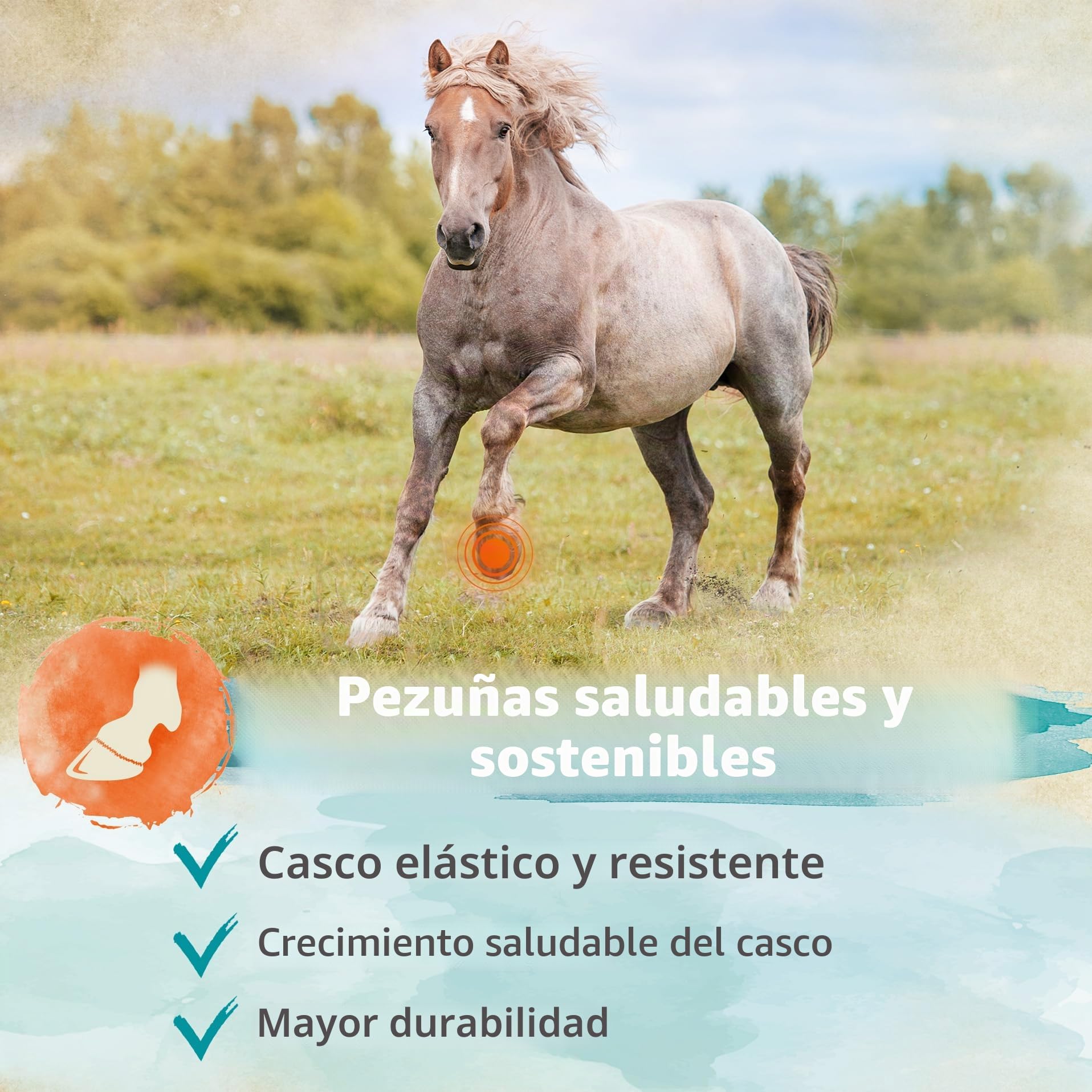 Ida Plus Biotina + zinc para caballos, alta dosis, mejora la calidad de pezuña y el crecimiento de pezuñas, ayuda a la piel, el pelaje y el sistema inmunológico, cambio de pelaje, 750 g