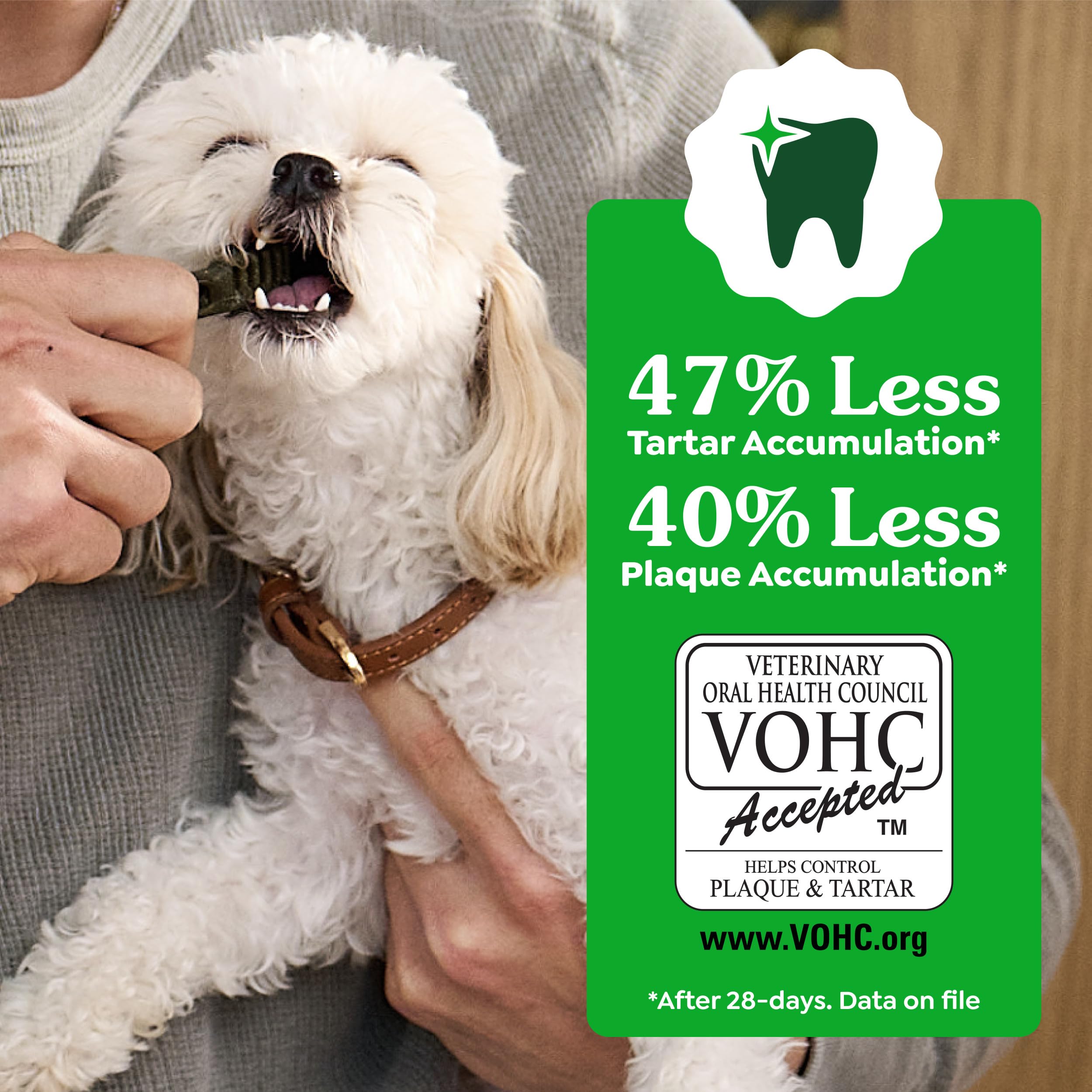 Greenies Veterinarian-Recommended Adult Natural Dental Dog Treats Petite Size, Dog Dental Chews, Original Flavor, 54 oz. Pack, 90 Count - image 6