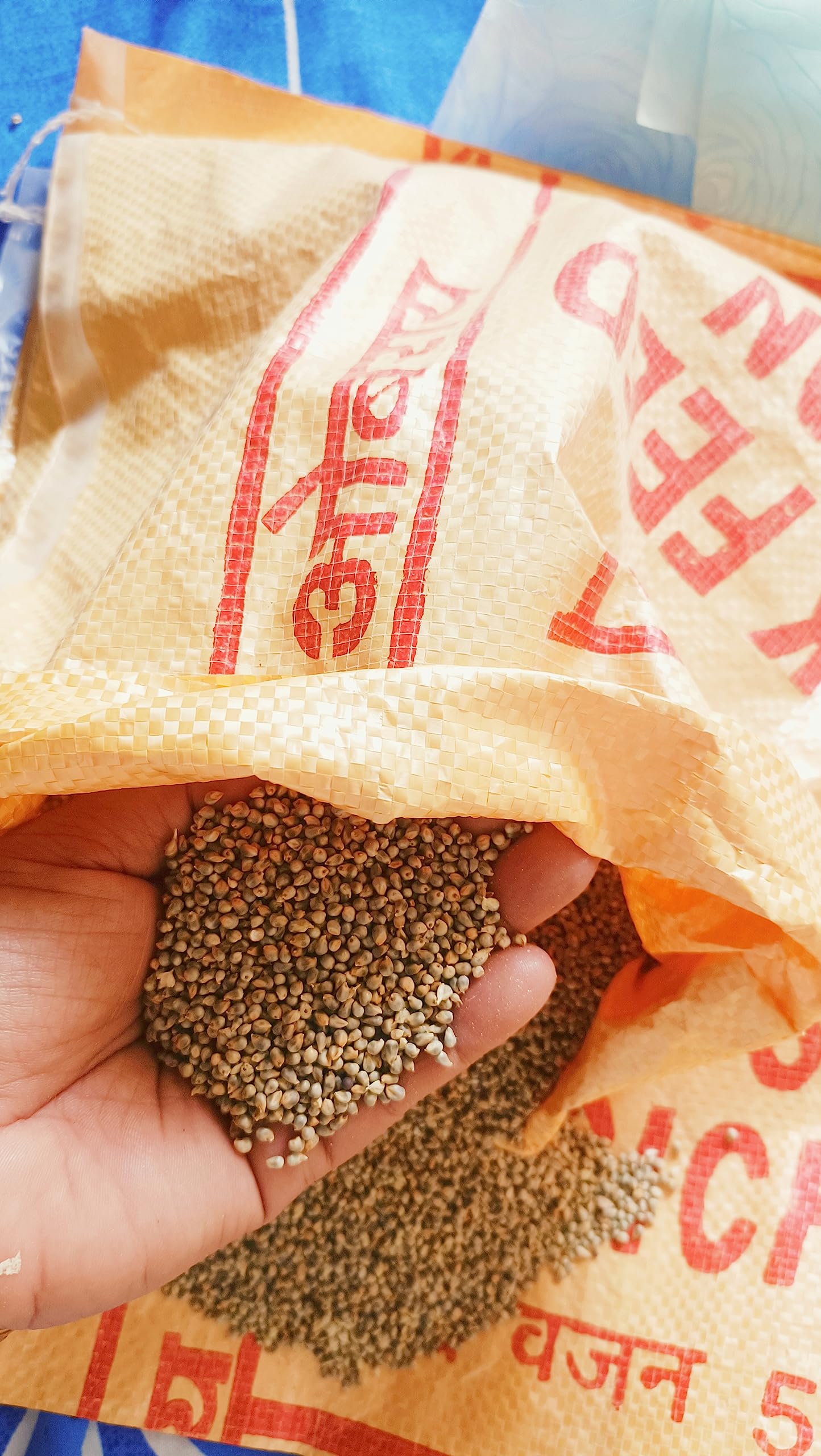 ओबराय - BAJRA Birds Feed 3kg Bajra Seeds for Pigeon,Dove,Small Birds (Pack of 3000GRAMS) (B09RN18CXV) Amazon Price History, Amazon Price Tracker