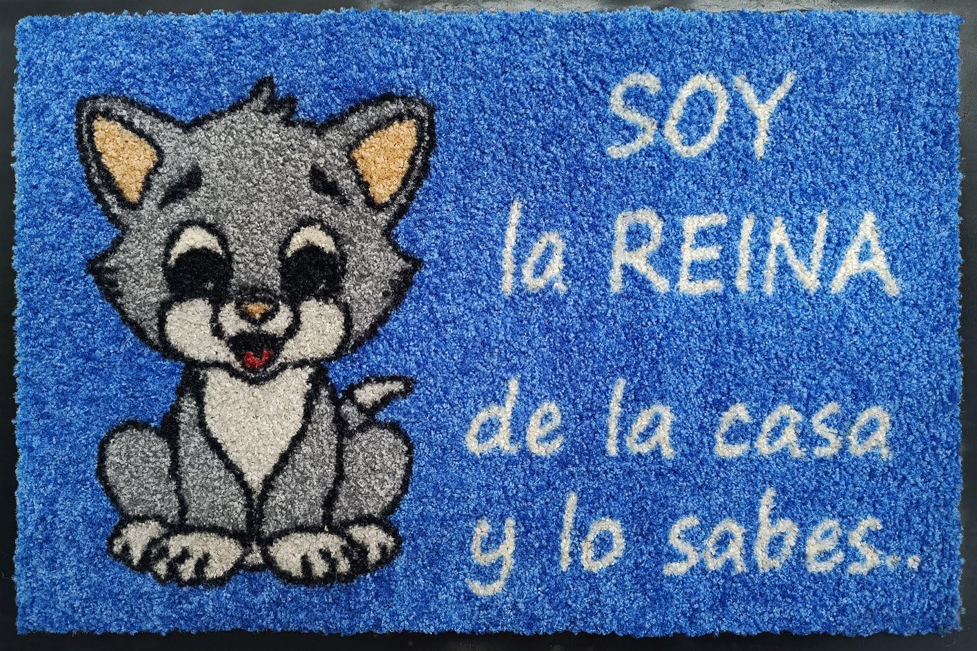 PASO - Felpudos Entrada a casa Originales y Divertidos - Alfombra para Interior y Exterior – Fibra 100% Poliamida y Base Antideslizante - Frases ingeniosas: Soy LA Reina DE LA CASA (Azul Claro)