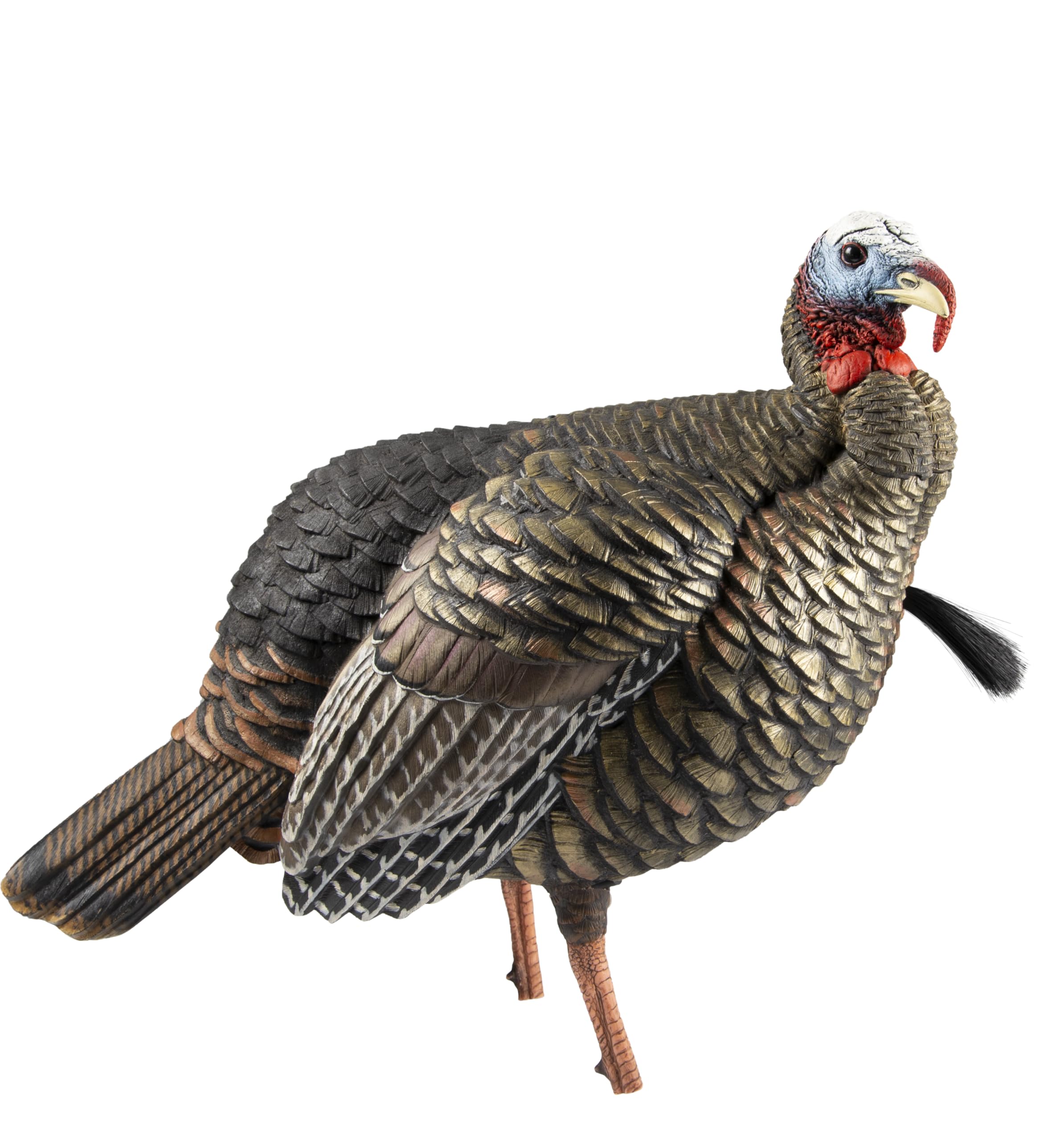 Avian-X HDR Jake Turkey Decoy | Rugged Durable Realistic Lifelike Quarter-Strut Body Standing Hunting Decoy with 2 Removable Heads, Mounting Stake & Carry Bag