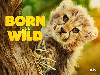 Born to Be Wild