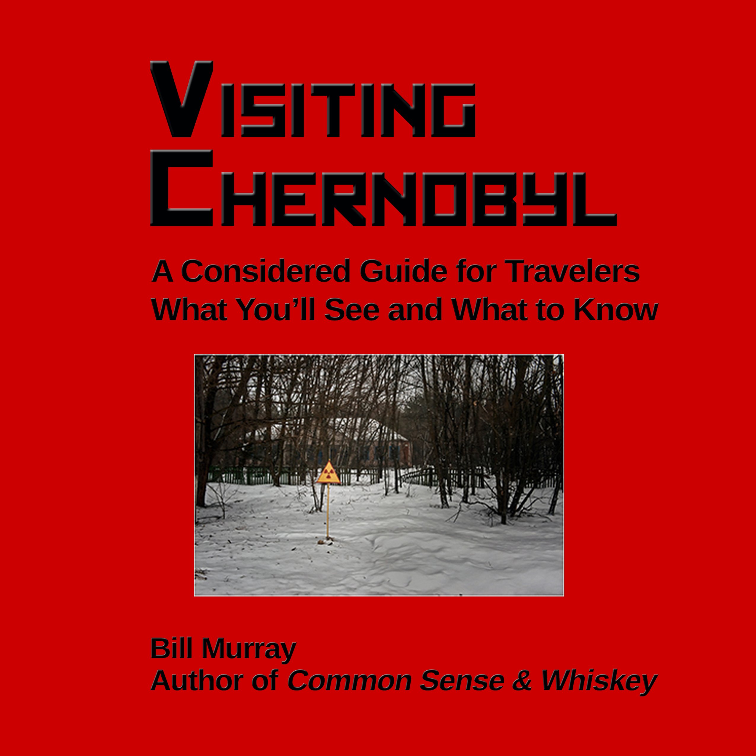 Visiting Chernobyl