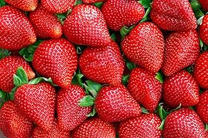 Sweeten Your Home: Red Strawberry Seeds for Year-Round Delights