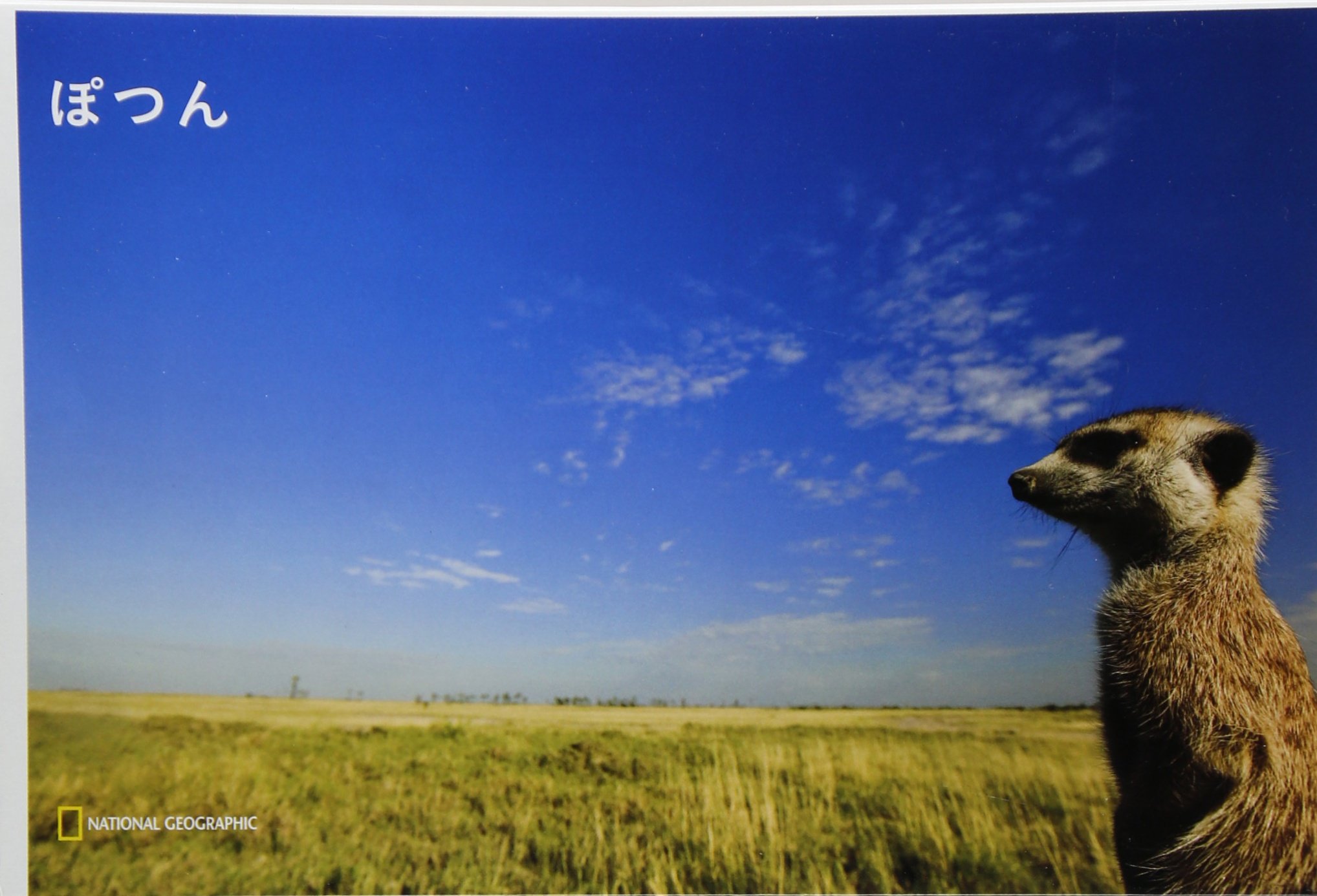 ナショナルジオグラフィック 2005-2007 ナショナル ジオグラフィック日本版 12月号 (発売日2012年11月30日