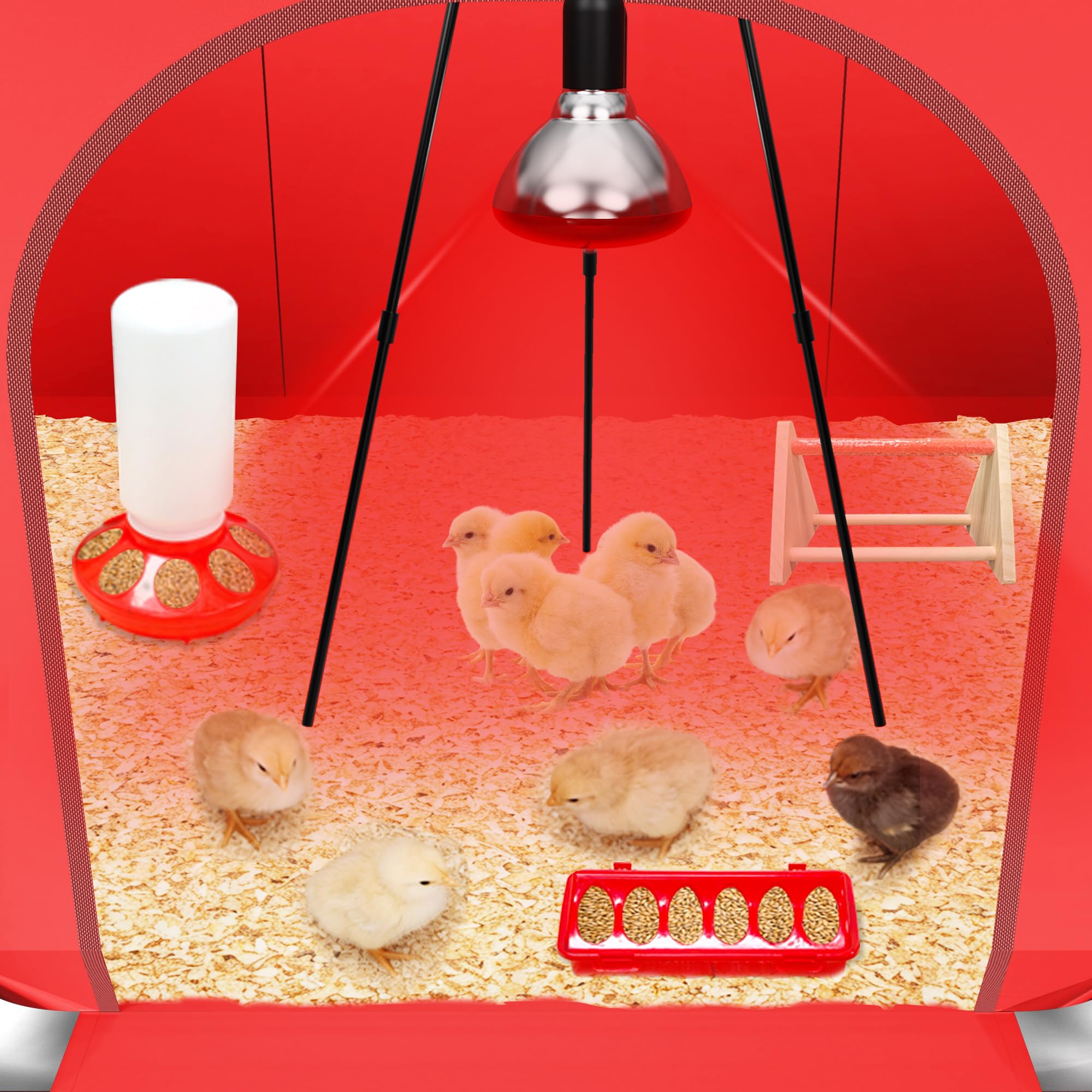 Caja de cría de pollitos para iniciación de pollos, incluye lámpara de calor de temporización, aserrín, comedero de pollitos y juego de bebedero, criador de aves de corral con lámpara de calor