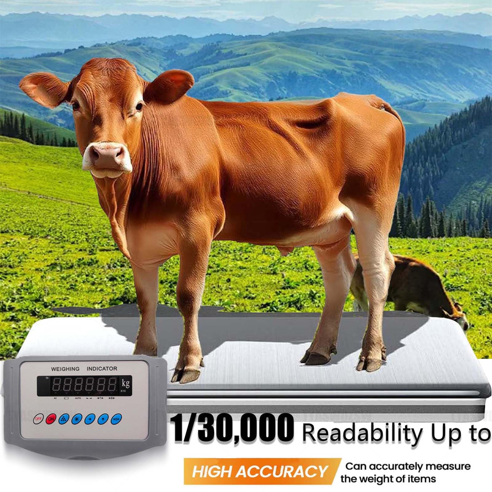 Kit de Balance pour Bétail Électronique, 5000kg Plateforme Pesée Animale Haute Capacité avec Écran LED Lumineux, Balance Ferme avec Cellules de Charge pour Bovins, Porcs, Moutons(1t)
