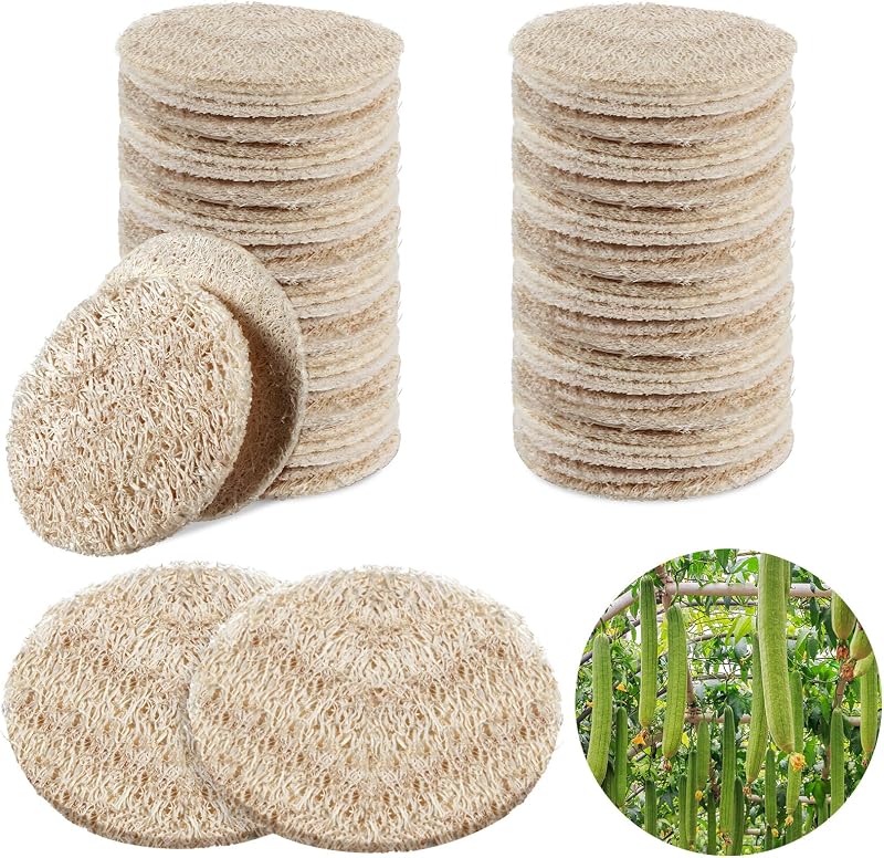 Bokon Buchas de Luffa Natural Bege, 50 Unidades