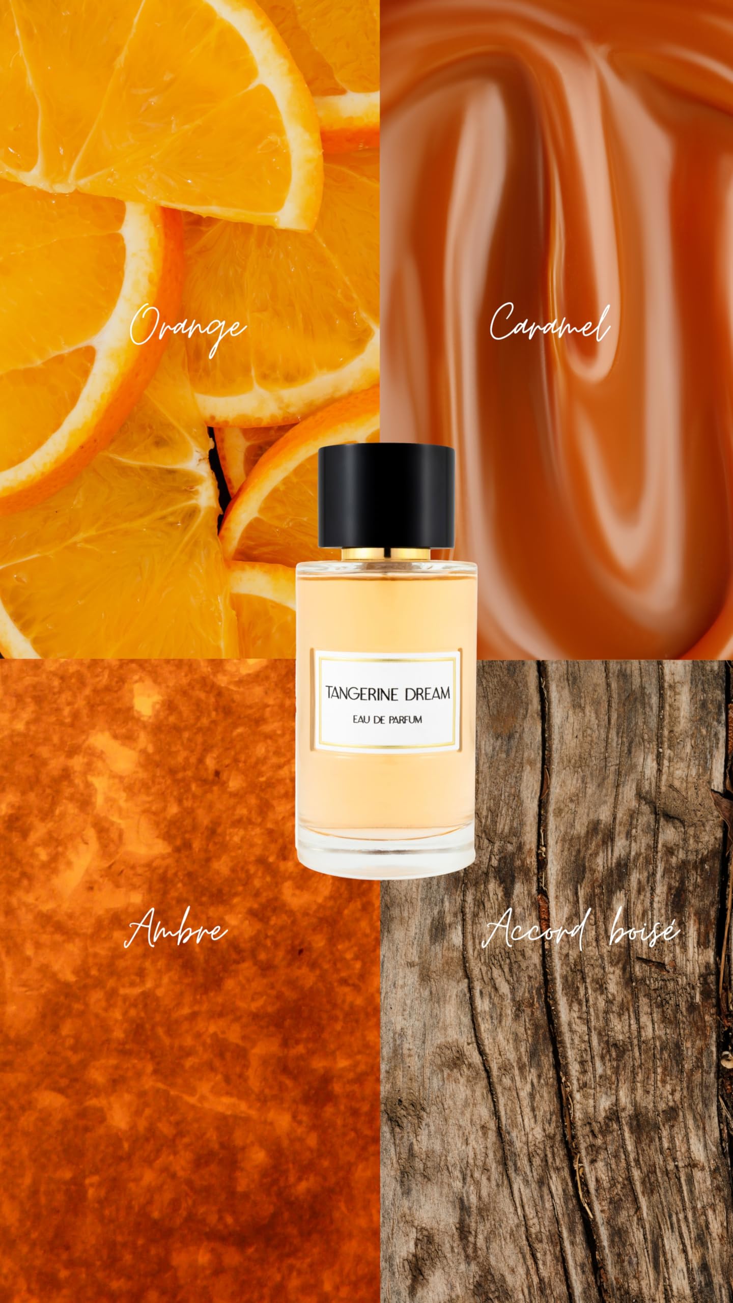 JEANNE ARTHES - Collection Privée - Eau de Parfum Tangerine Dream - Ambré & Fruité- Orange, Ambre - Fabriqué en France à Grasse - Flacon Vaporisateur 100 ml