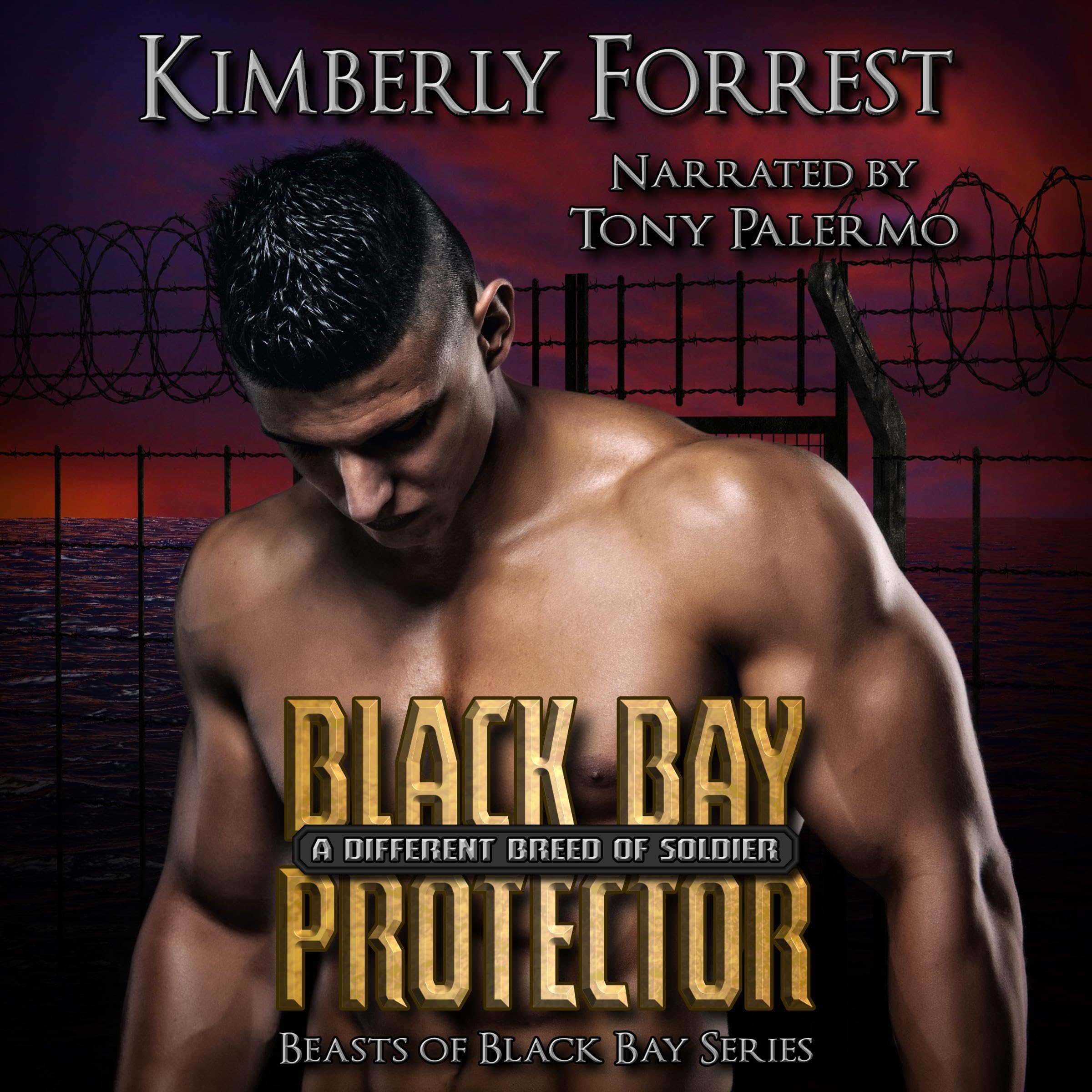 Cover art for Black Bay Protector