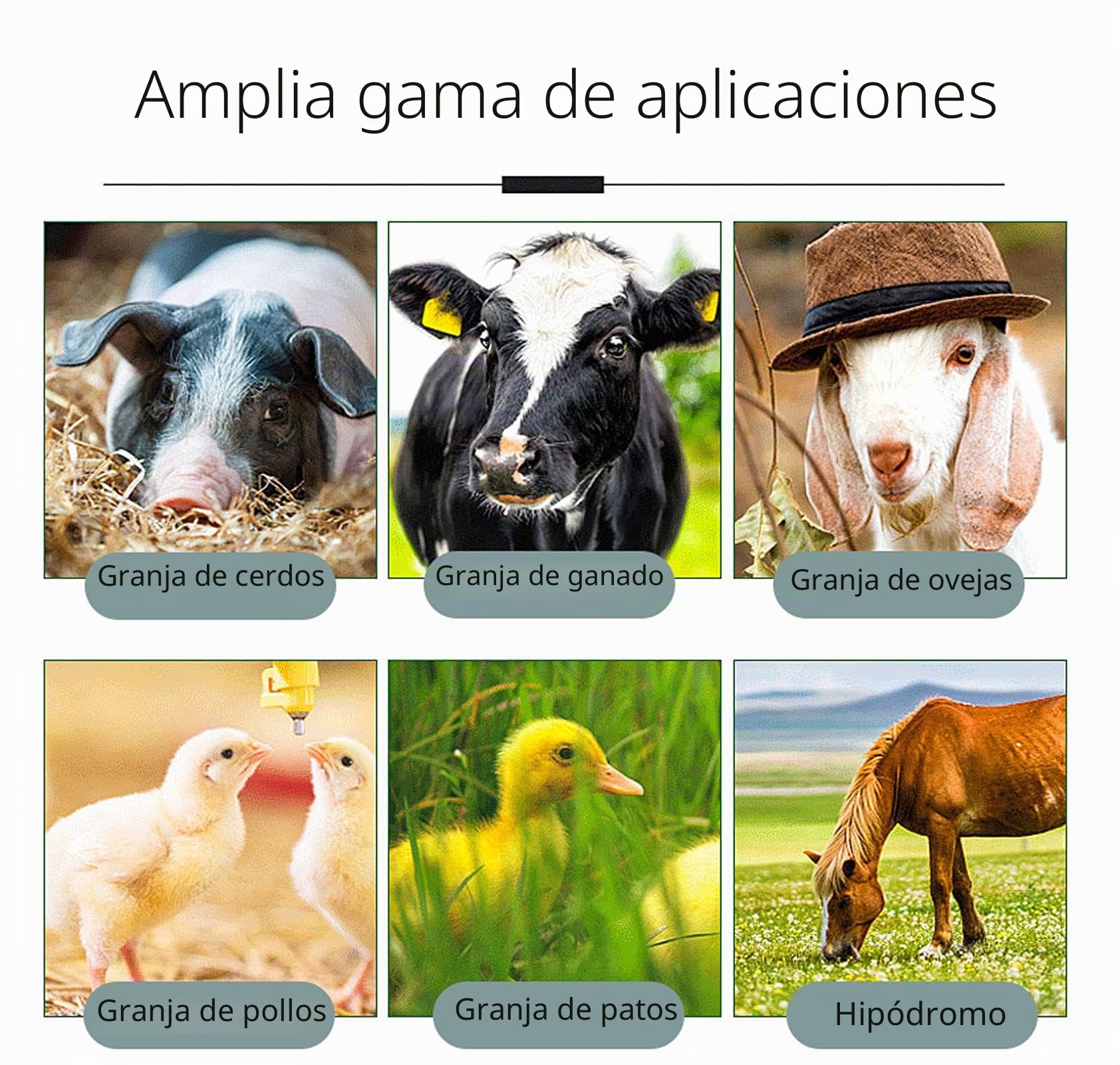 Lampara de Calor para Perros Gatos Gallineros Granja de Cerdos, Lámpara Calentadora Infrarrojos con Dos Temperaturas Ajustables y Lámpara Halógena, Ideal para Su Uso en Granjas y Cría de Animales