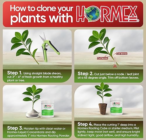 Miniatura 7 de Hormex Polvo de enraizamiento #1 (1 libra) - Hormona de enraizamiento para plantas fáciles de enraizar - Forma rápida y fácil de clonar plantas a