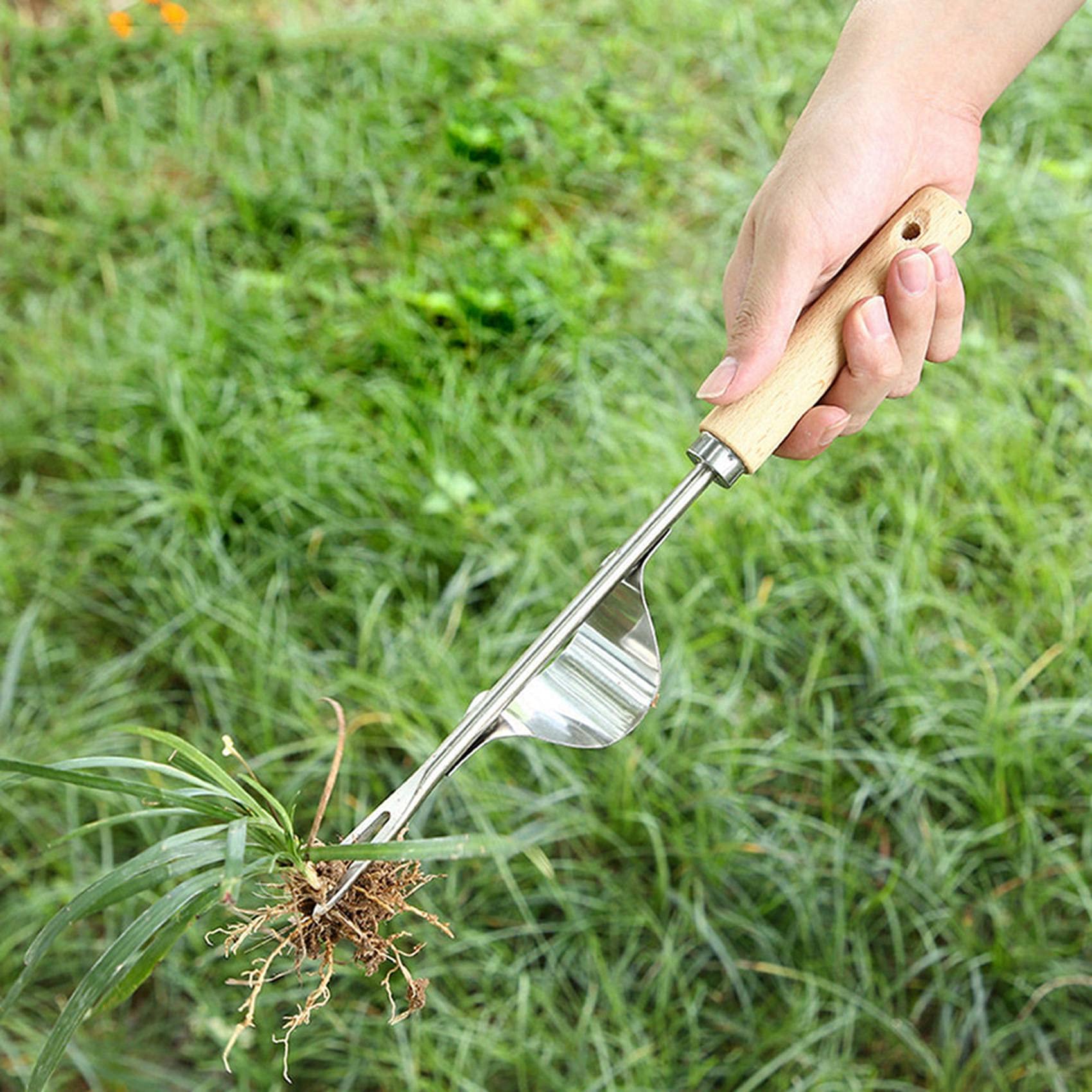 ISTOVO Désherbeur de Jardin en Acier Inoxydable Manche en Bois 2X Extracteur de Pissenlit