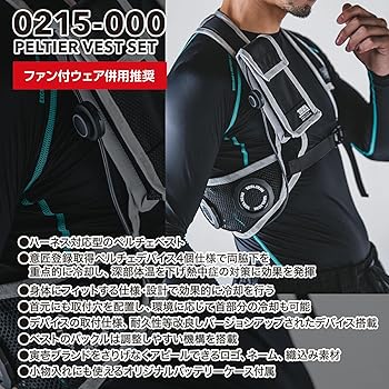 Amazon.co.jp: 寅壱 ペルチェベストセット 0215-000 寅一 デバイス