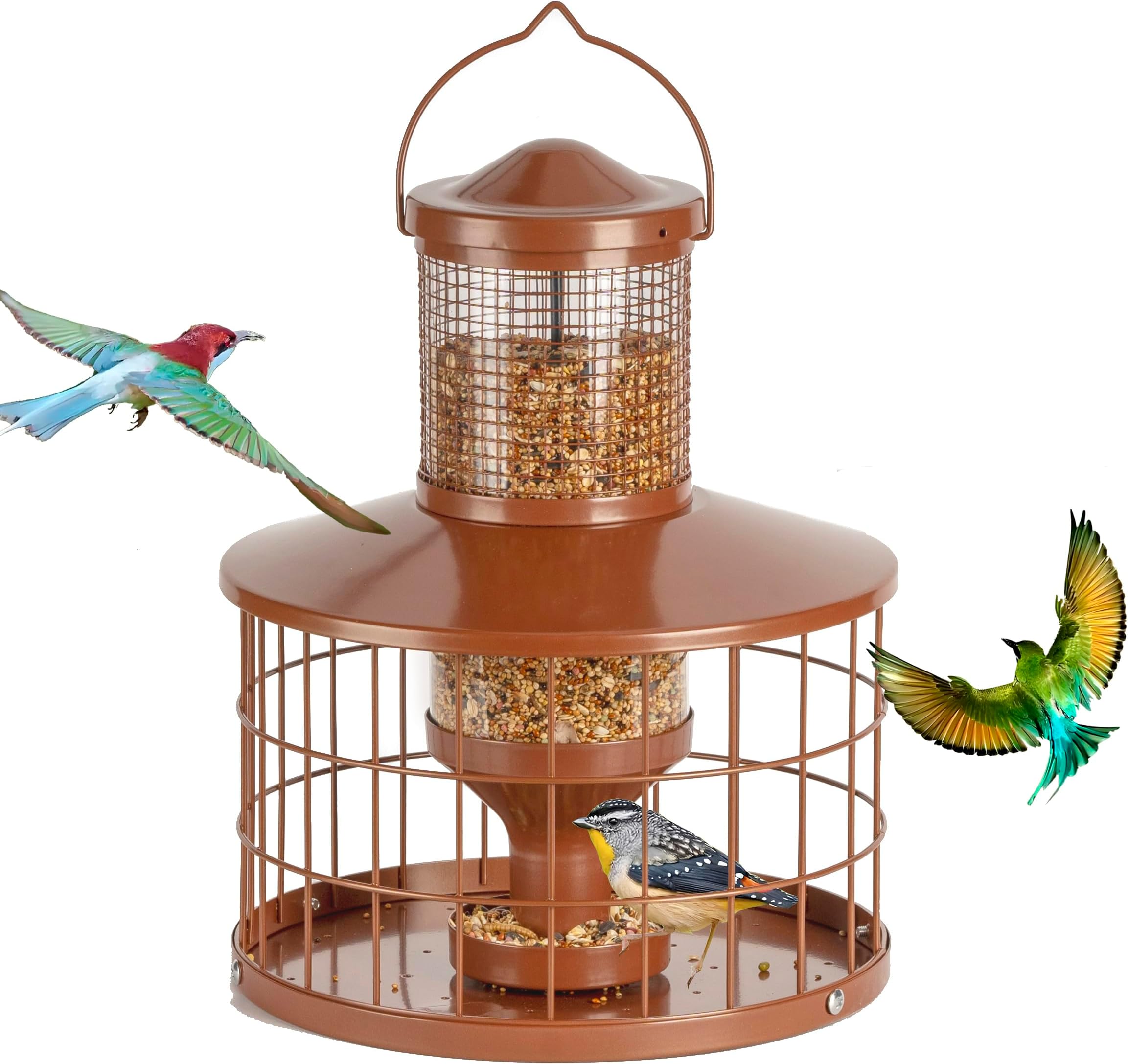 Mangeoire Oiseaux Gifinull