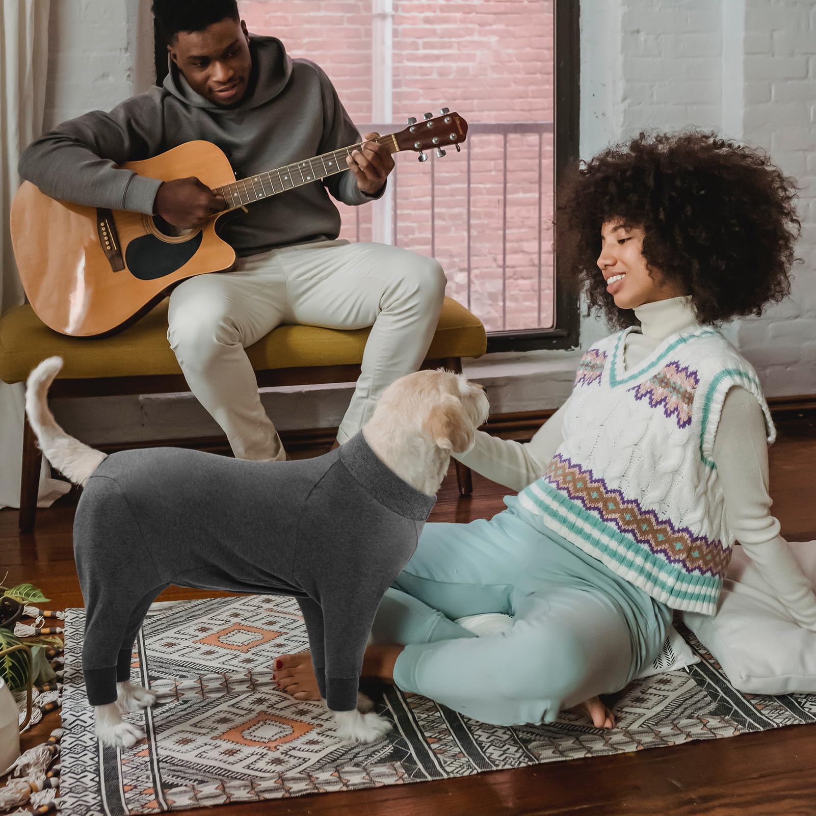 CITÉTOILE Tuta di Recupero per Cani e Gatti di Grossa Taglia, Camicia da Pigiama Protettiva a Maniche Lunghe per Animali Domestici, Alternativa al Collare Elettronico, Grigio, M