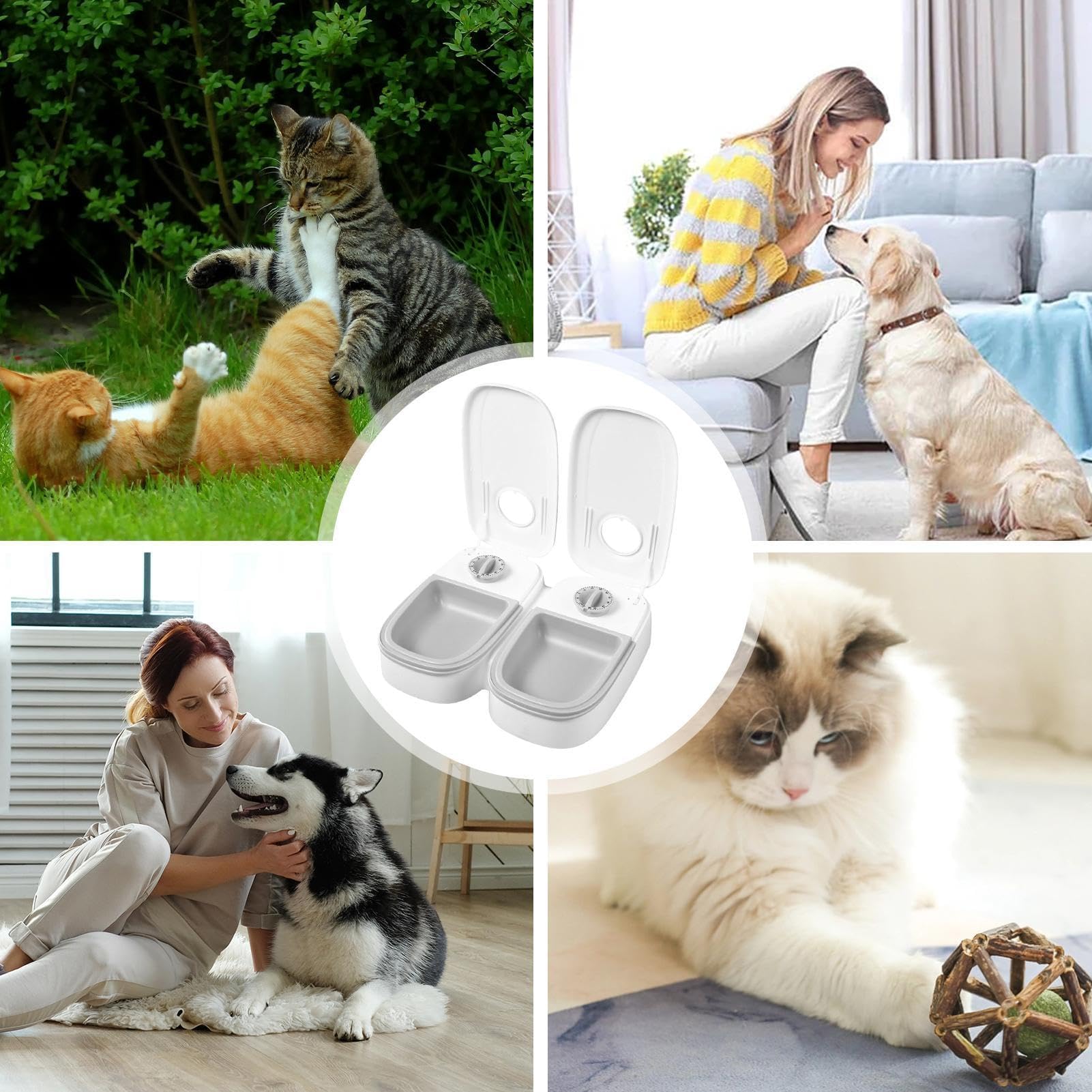 Ciotole per animali domestici, Distributore automatico di cibo for gatti - Contenitore for for cani for e, secco umido