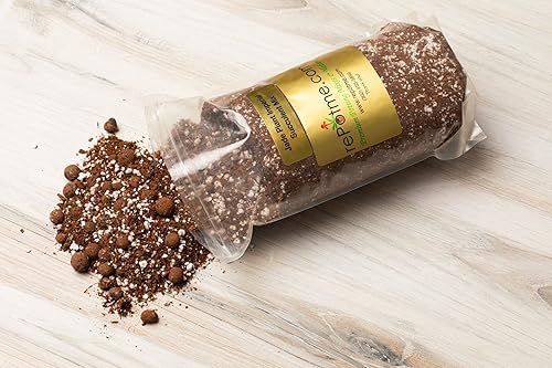 Miniatura 13 de rePotme Suelo suculento (bolsa estándar, cactus de Navidad)