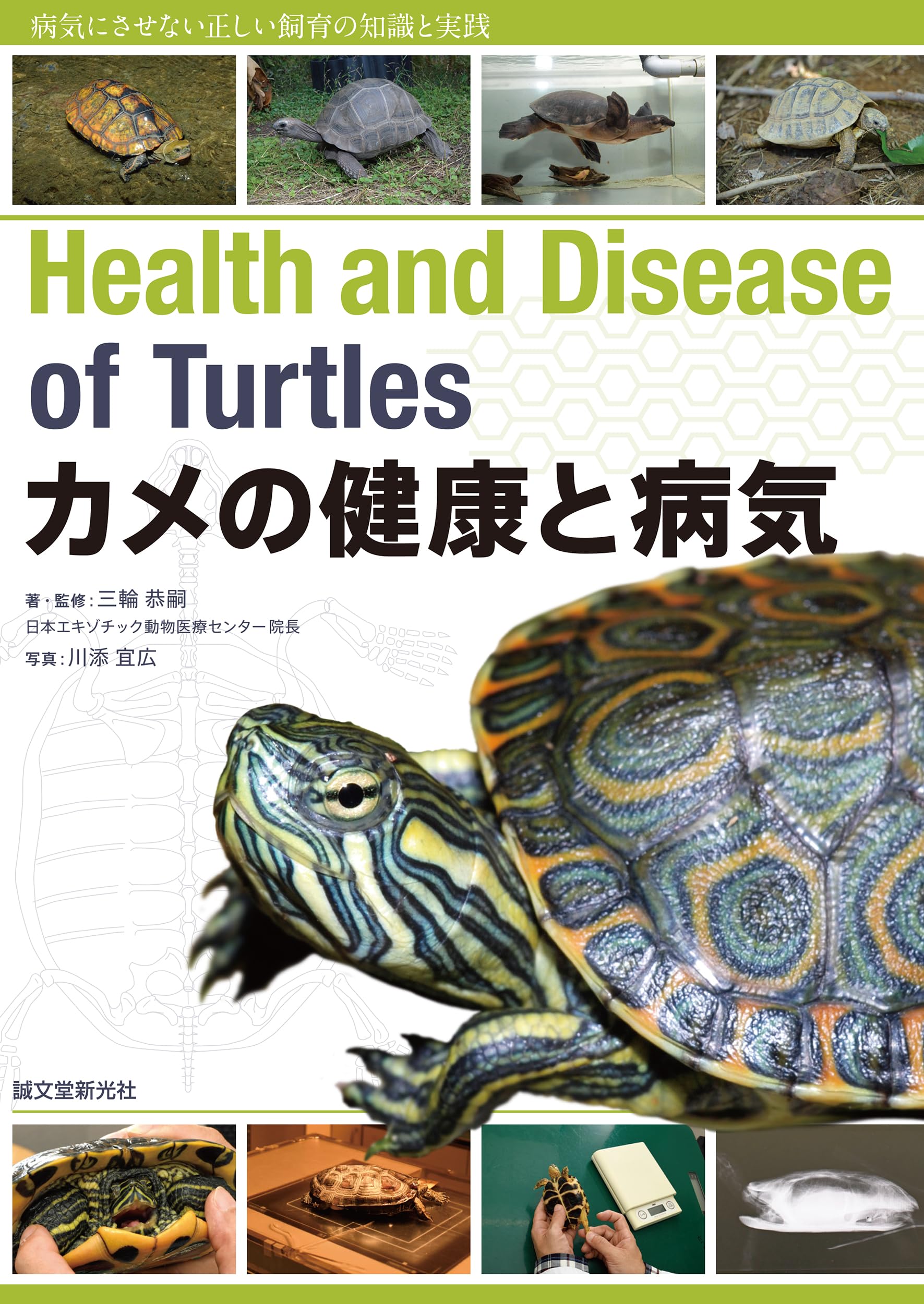 【爬虫類の内科と外科】【亀の内科と外科】エキゾチックアニマル　臨床　診療　獣医 爬虫類の内科と外科】【亀の内科と外科】エキゾチックアニマル