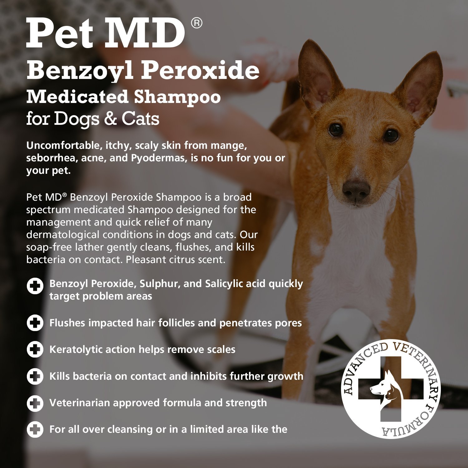 Pet MD Benzoyl Peroxide Medicated Shampoo for Dogs and Cats Effective for Skin Conditions