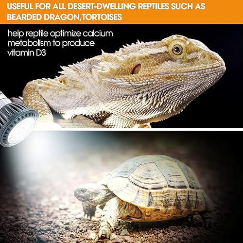 Miniatura 10 de Luz de reptil UVB 5.0 de alta calidad, UVA UVB 3W espectro completo tropical, bombilla UVB para un metabolismo óptimo del calcio, ideal para