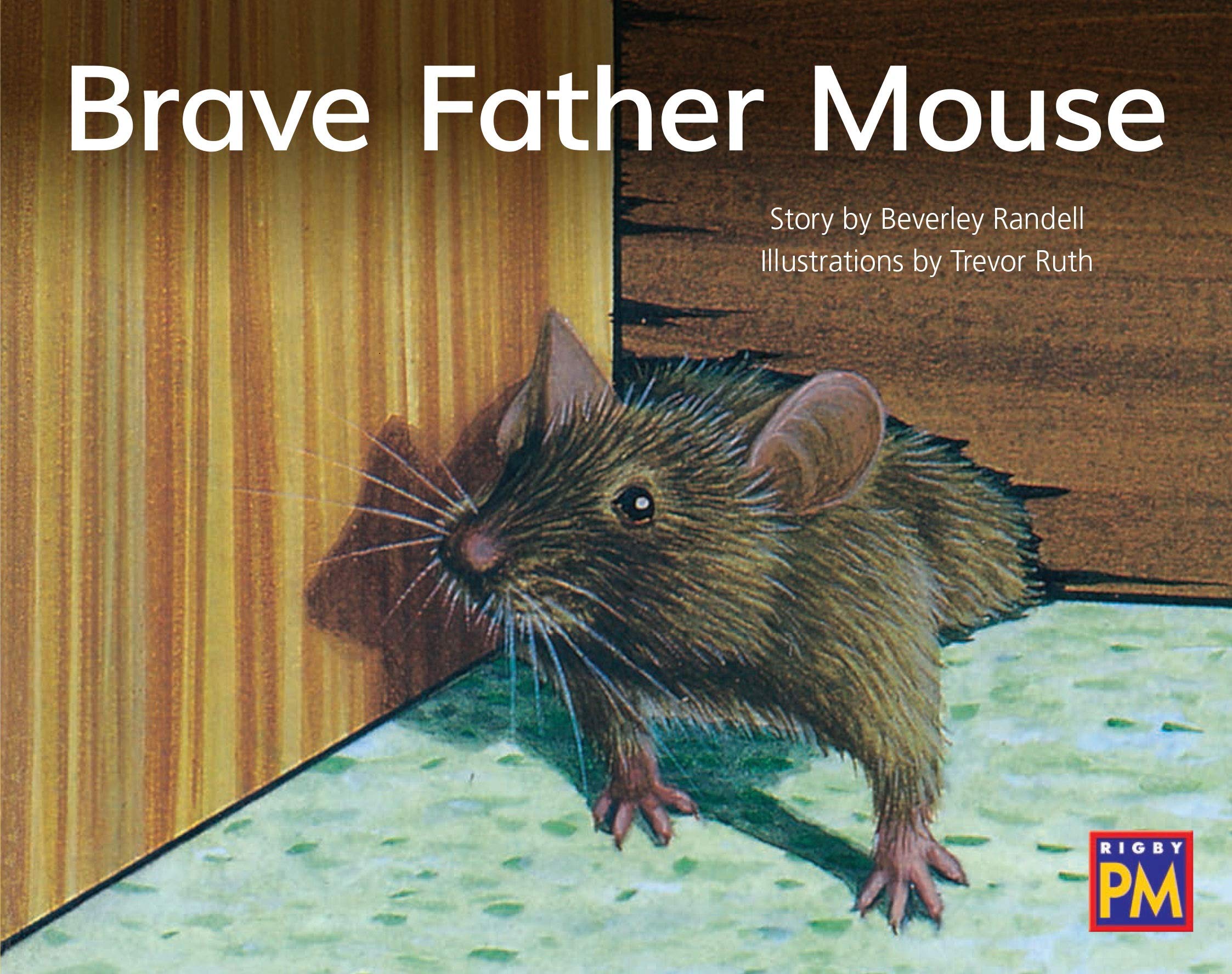 Brave Father Mouse: Bookroom Package Yellow Fiction Level 6 Grade 1 (Rigby PM Collection)