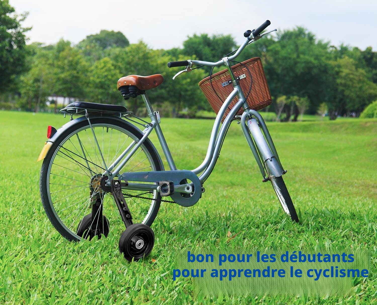 MOSHAY Roue de vélo pour adulte - Convient pour les roues de vélo épaisses de moins de 300 livres - 24 26 28 29 pouces - Acier inoxydable haute performance (noir)