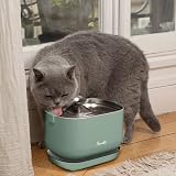 Bandit - Fontaine à Eau sans Fil pour Chat - Vert - Acier Inoxydable - 2,5L | Autonomie 30 Jours - Filtration 4 Étapes - Détecteur Mouvement - Ultra Silencieuse inférieure 30dB - Hydratation Chat - 6