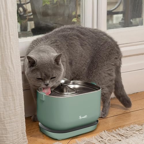 Bandit - Fontaine à Eau sans Fil pour Chat - Vert - Acier Inoxydable - 2,5L | Autonomie 30 Jours - Filtration 4 Étapes - Détecteur Mouvement - Ultra Silencieuse inférieure 30dB - Hydratation Chat - 6