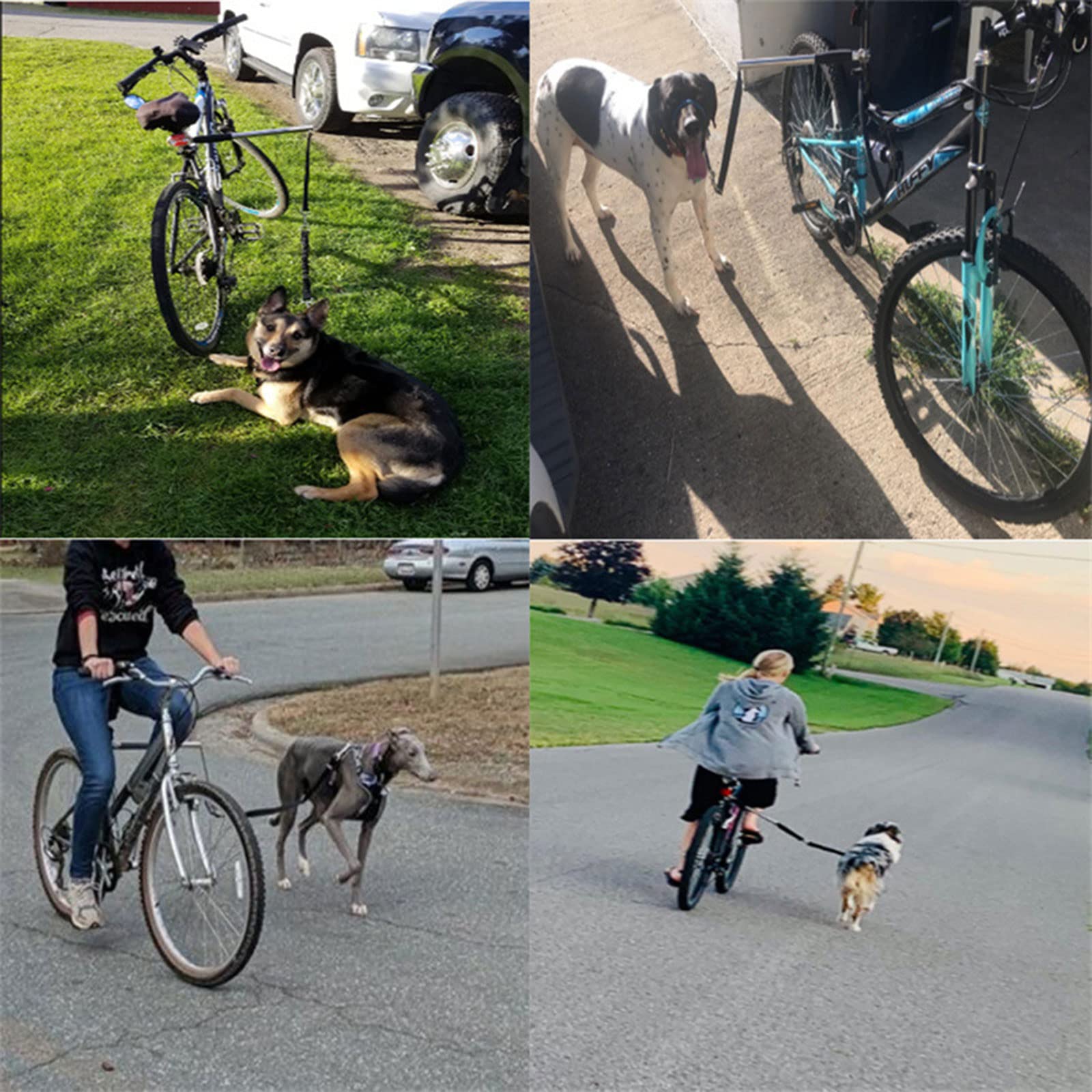 Laisse De Marche pour Vélo, Laisse De Vélo Mains Libres Amovible avec Sangle Rembourrée, Facile À Installer, Convient À Tous Les Types De Vélos Et À Toutes Les Races De Chiens