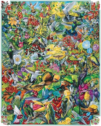 White Mountain Puzzles Hummingbirds - Rompecabezas de 1000 piezas
