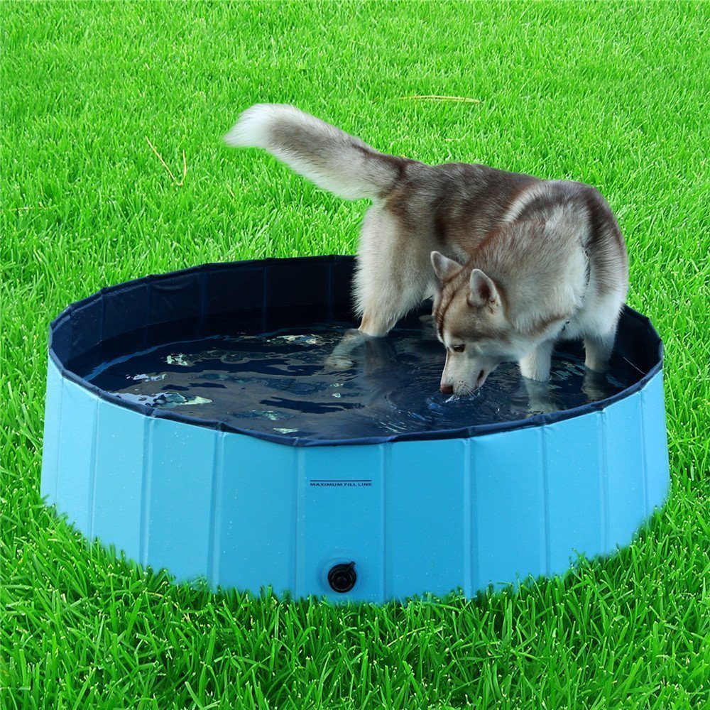 Dog Pool, VOKPETS Small (31.49"x7.87") Foldable Doggy Pool Bath Pool Dog Cats Bathing Tub Bathtub Washer