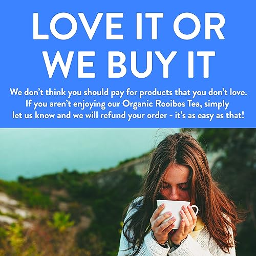 Vista 303 de FGO Té de menta orgánico, 100 unidades, bolsitas de té ecológicas, sin cafeína, el embalaje puede variar (paquete de 1)