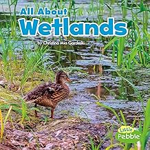 All About Wetlands (Habitats) (Little Pebble: Habitats)