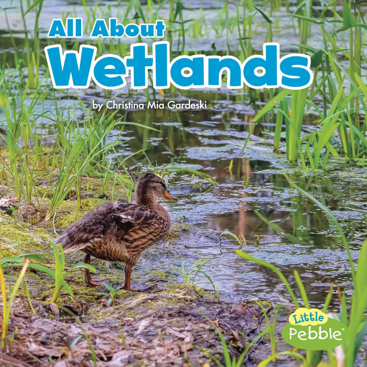 All About Wetlands (Habitats) (Little Pebble: Habitats)