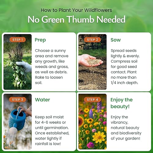 Miniatura 4 de Created By Nature Mezcla de semillas de flores silvestres de Minnesota, 16 variedades de flores, más de 40,000 semillas