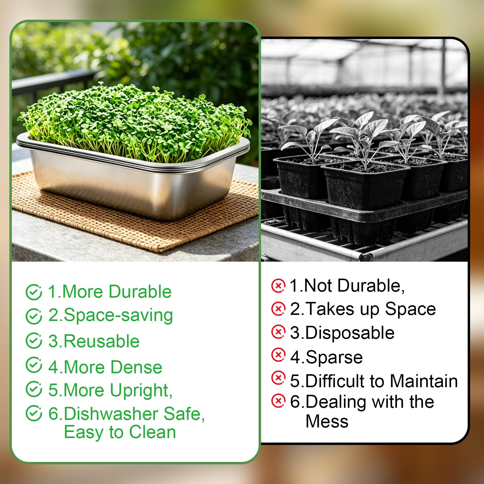 1er Set Sprossen Anzuchtset Edelstahl : 2-in-1 Keimschalen Set für Sprossen mit Silikonsieb & Stoff-26 x 19 cm Microgreens Anzuchtschalen für Katzengras Kresse- Profi Wiederverwendbare Keimschale