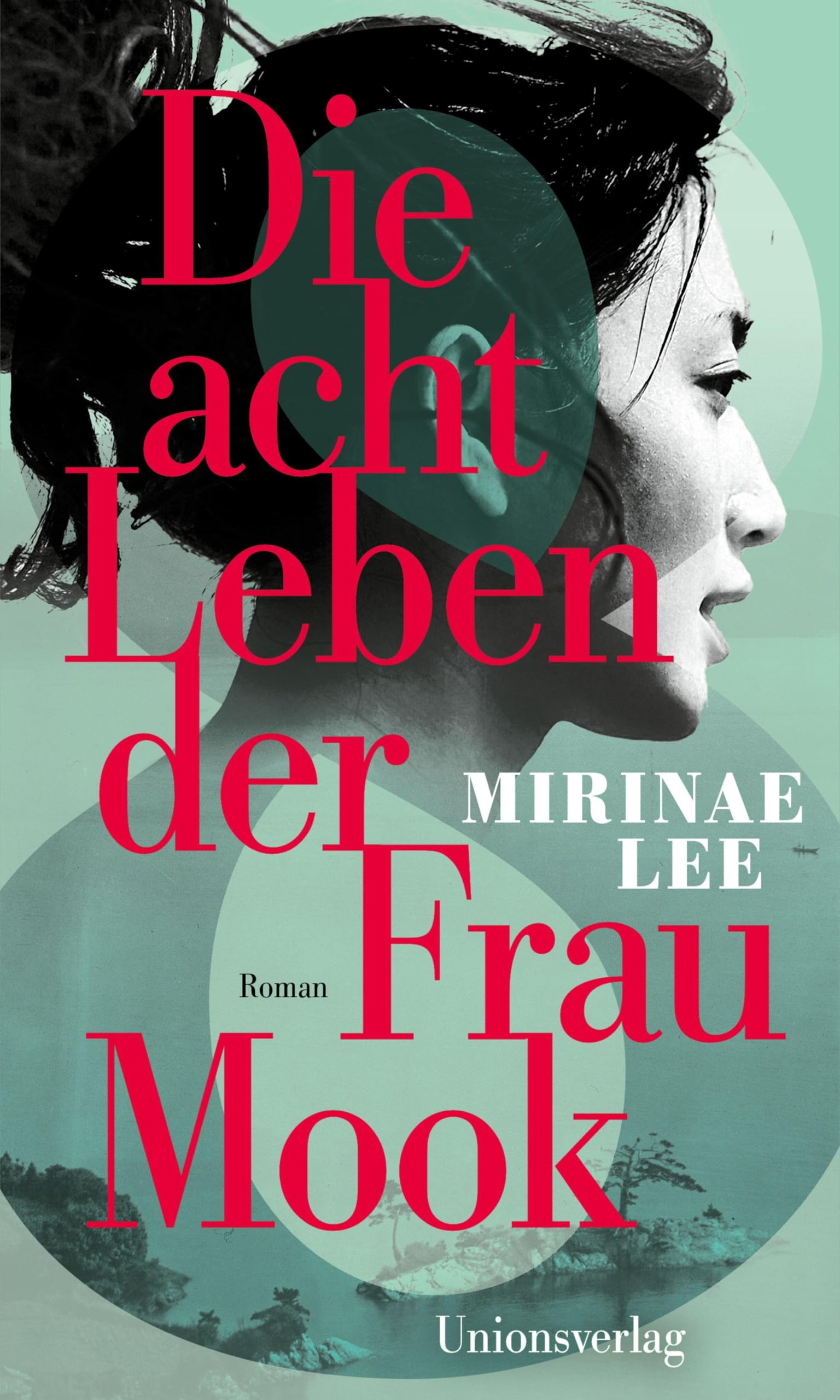 Die acht Leben der Frau Mook: Roman