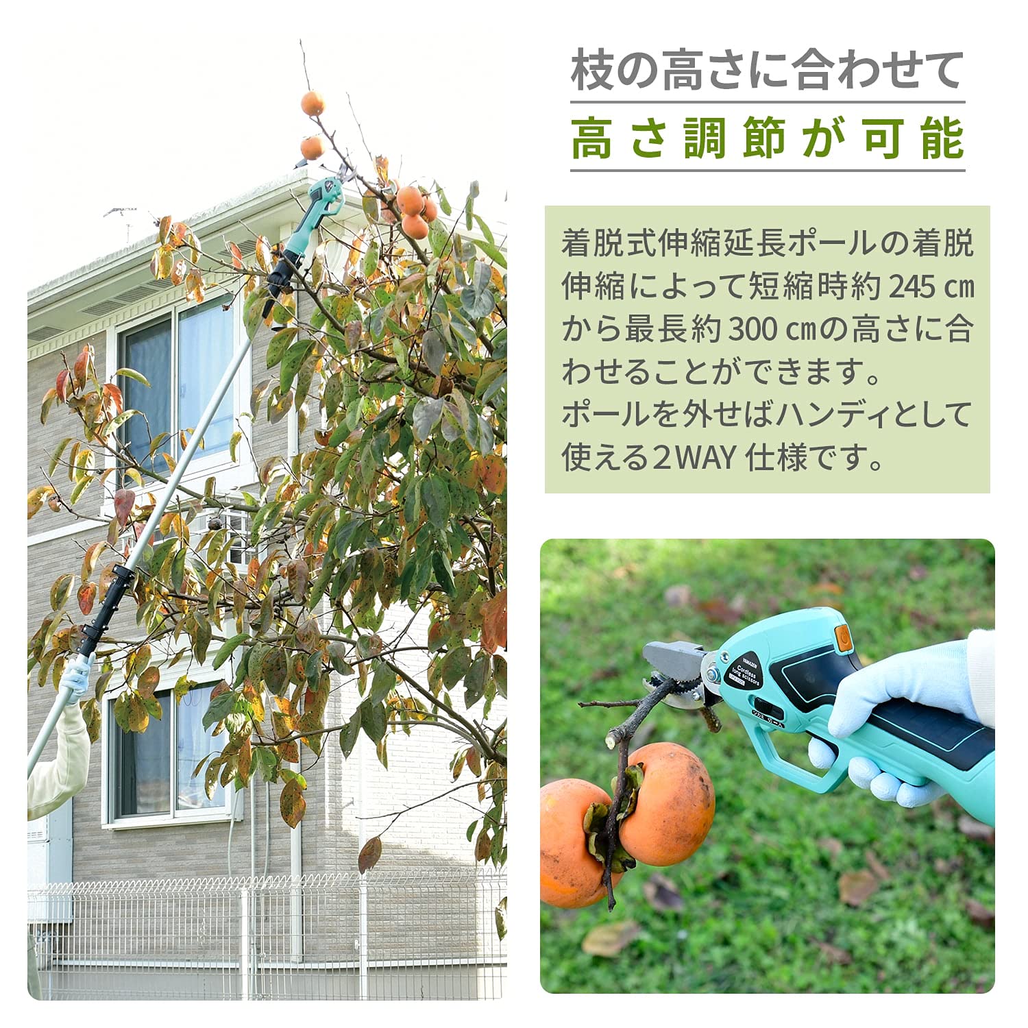 Amazon | 山善(YAMAZEN) 充電式 電動高枝切りばさみ 最大伸縮3m つかみ