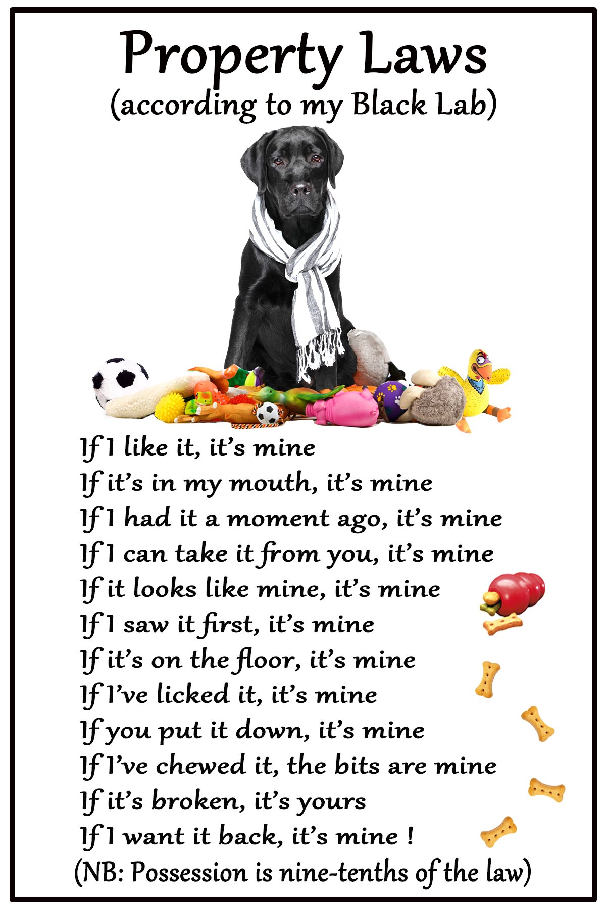 Fridge Magnets White Labrador Black Lab Gift - Property Laws - Large Fun Flexible Fridge Magnet - Size 16 Cms X 10 Cms (Approx. 6 X 4 Inches)