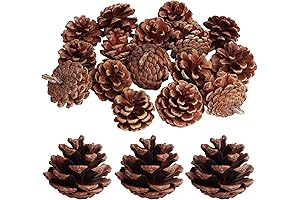 SBYURE 20 Pack Natural Pinecones for Craft Lovers