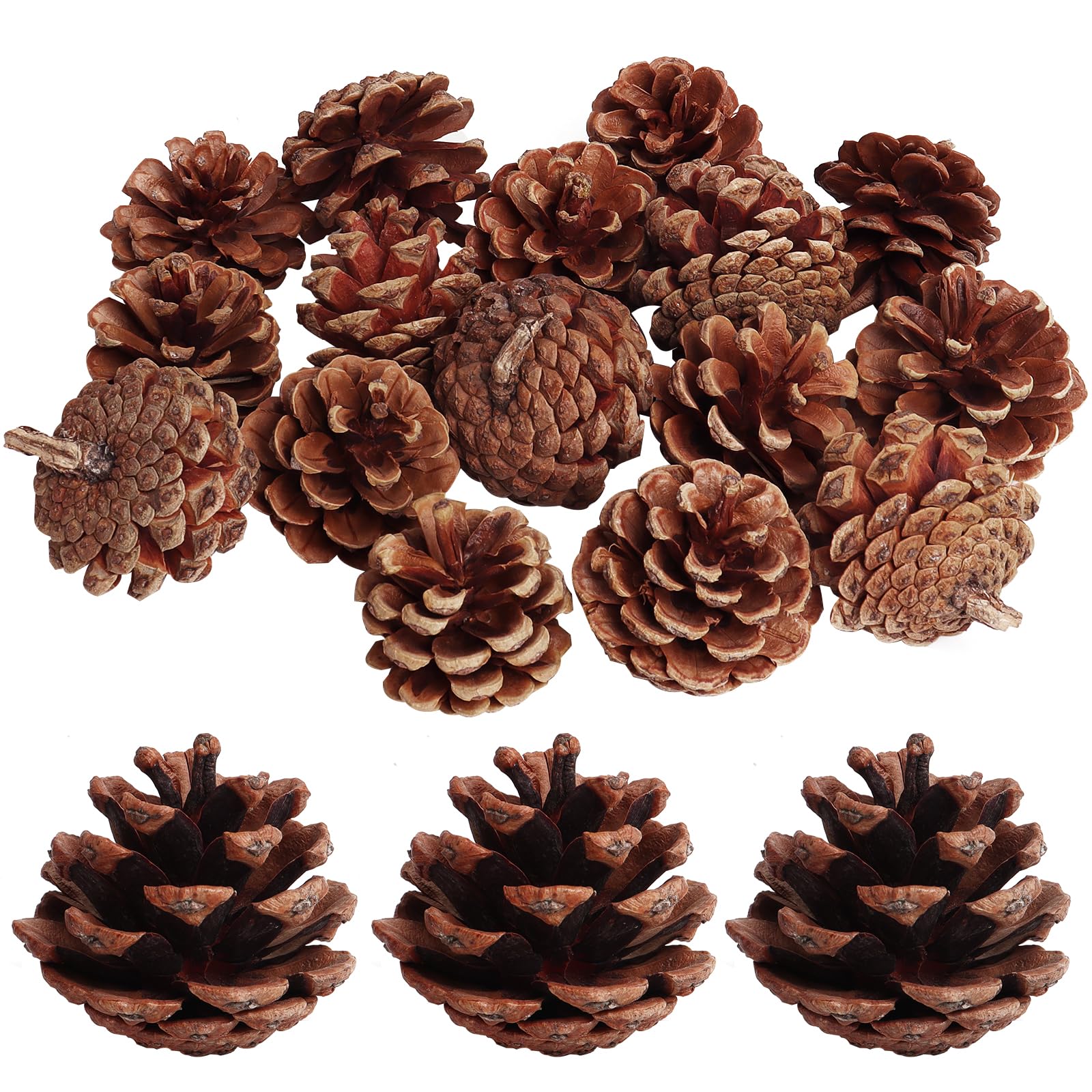 SBYURE 20 Pack 2.4 Inch Pinecones Bulk Package of Natural Pinecones Pine Cones for Crafts Home Decor Vase Filler