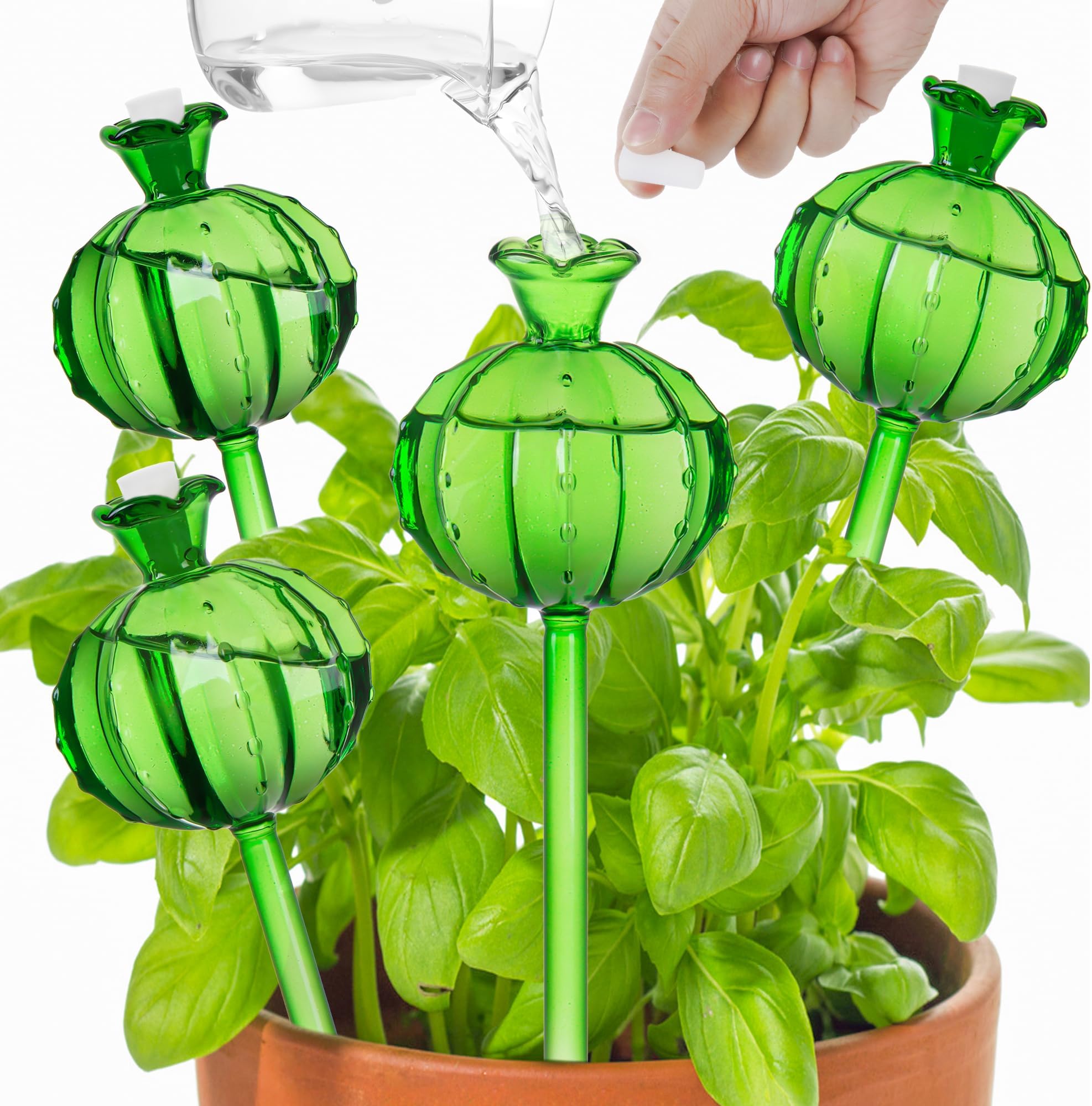 jiuhexuj Plant Watering Globes 4Pack HandBlown Plant