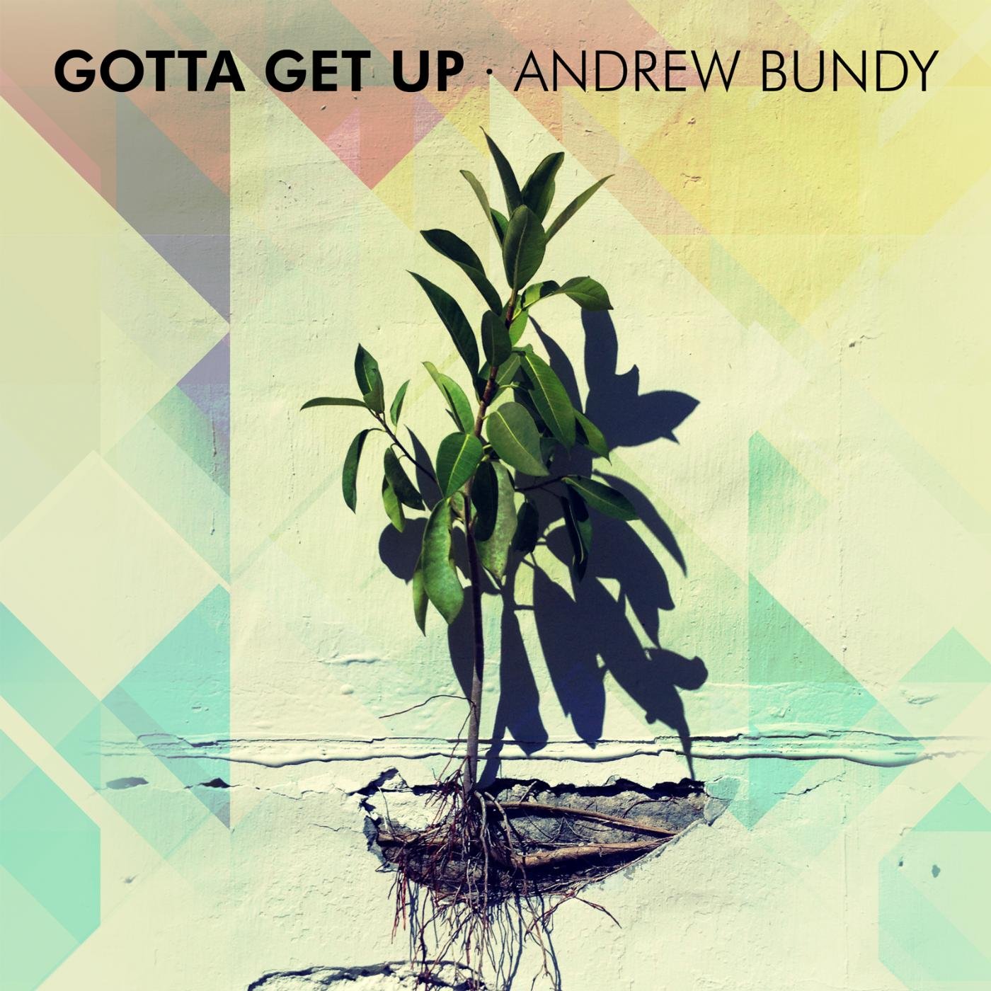 Andrew Bundy