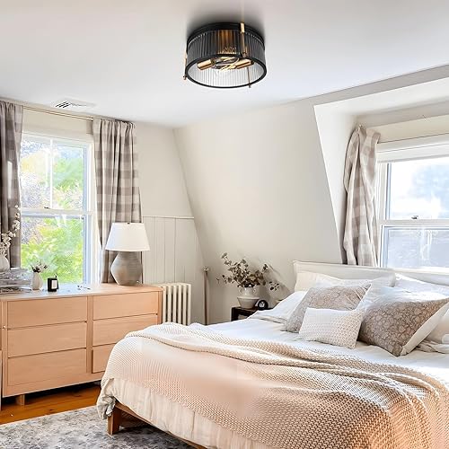 Miniatura 5 de Lámpara de techo industrial empotrada, lámpara de techo rústica con pantalla de vidrio transparente, lámpara de techo industrial de jaula de metal