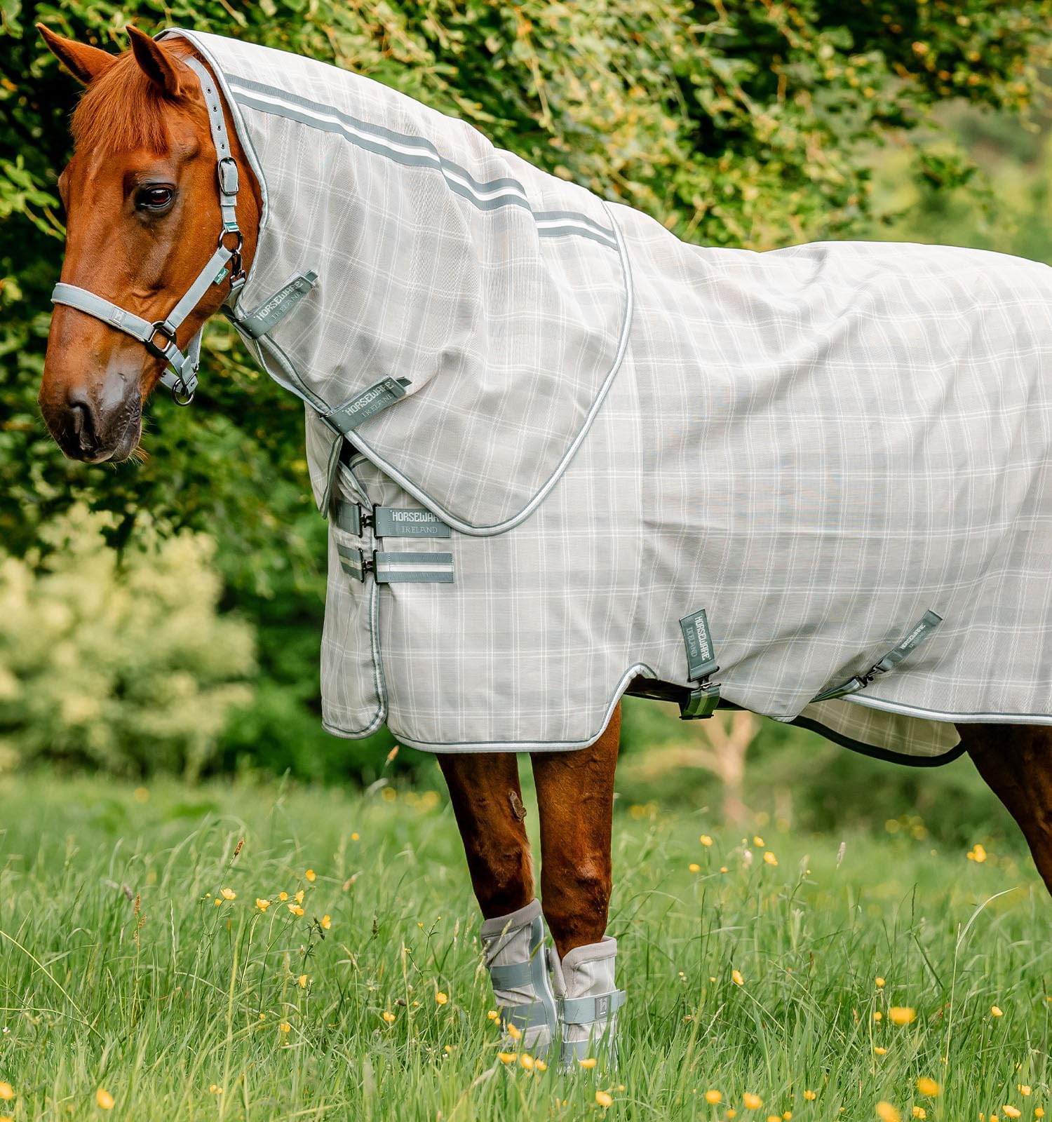 Horseware Newmarket Bottes anti-mouches