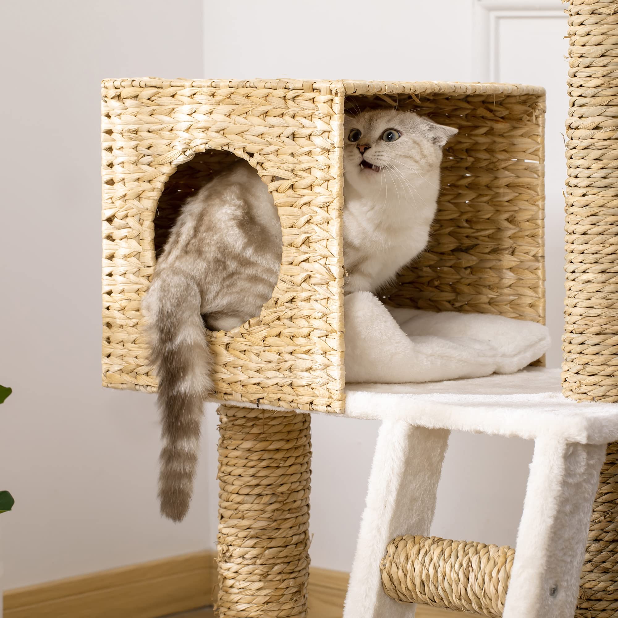 PawHut Arbre à Chat Arbre à Grimper Griffoir pour Chat Hauteur 100,5 cm | avec Coussins, Échelle, Centre d'Activités, Poteaux en Quenouille