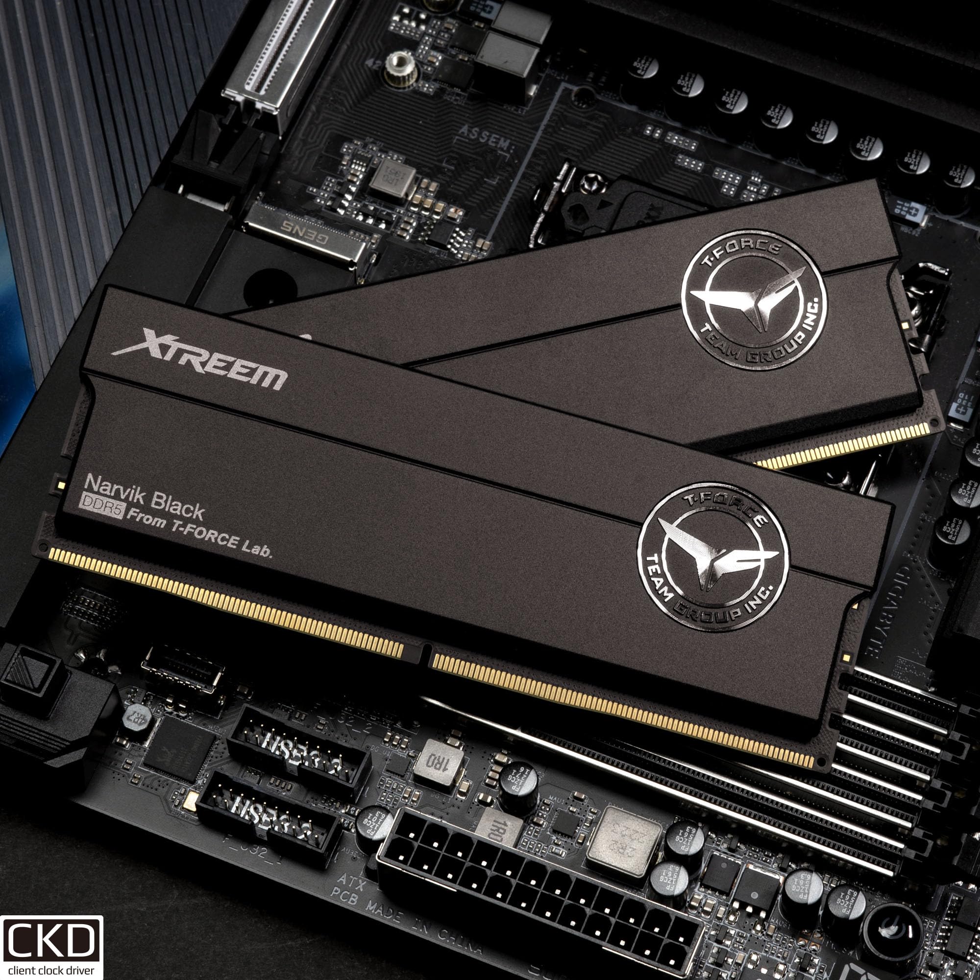 T-FORCE メモリー　DDR5 PC5-48000 16GB 2枚組 TEAMGROUP T-Force XTREEM DDR5 Ram 48GB (2x24GB) 8000MHz PC5