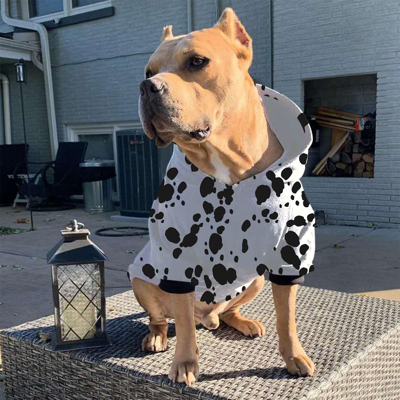 Disfraz de perro dálmata de Halloween, ropa de invierno con estampado de dálmatas, suéteres para Halloween, cosplay, otoño, mascotas, sudaderas con capucha de invierno con bolsillo para perros